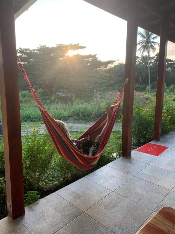 Green Queendom Farm And Lodging Oracabessa ภายนอก รูปภาพ
