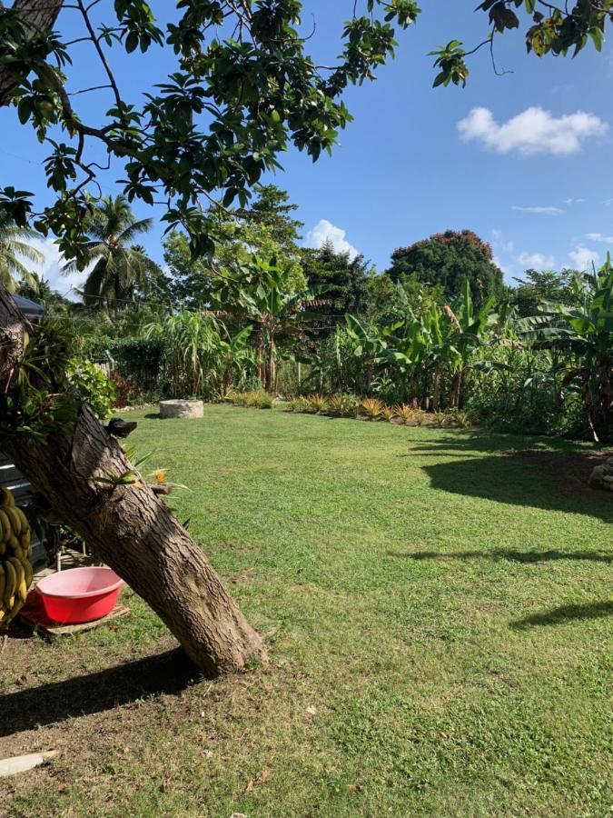 Green Queendom Farm And Lodging Oracabessa ภายนอก รูปภาพ