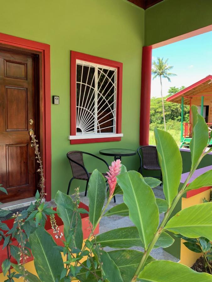 Green Queendom Farm And Lodging Oracabessa ภายนอก รูปภาพ