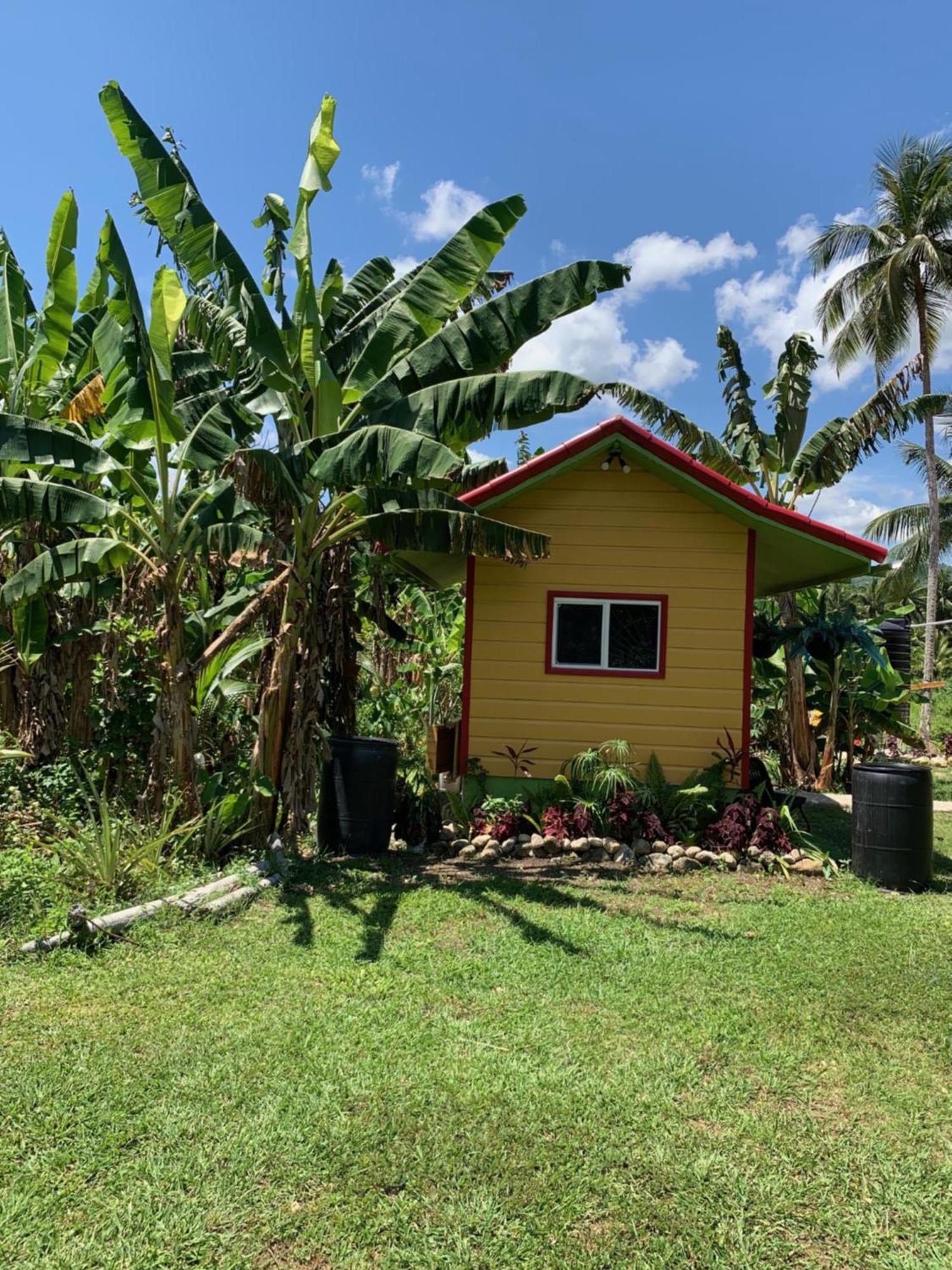 Green Queendom Farm And Lodging Oracabessa ภายนอก รูปภาพ